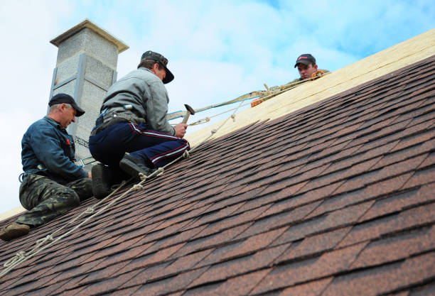Best Storm Damage Roof Repair  in Euclid, OH